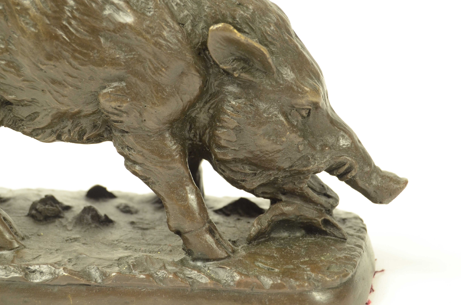 Curiosit&agrave;/11asc-Cinghiale Bronzo