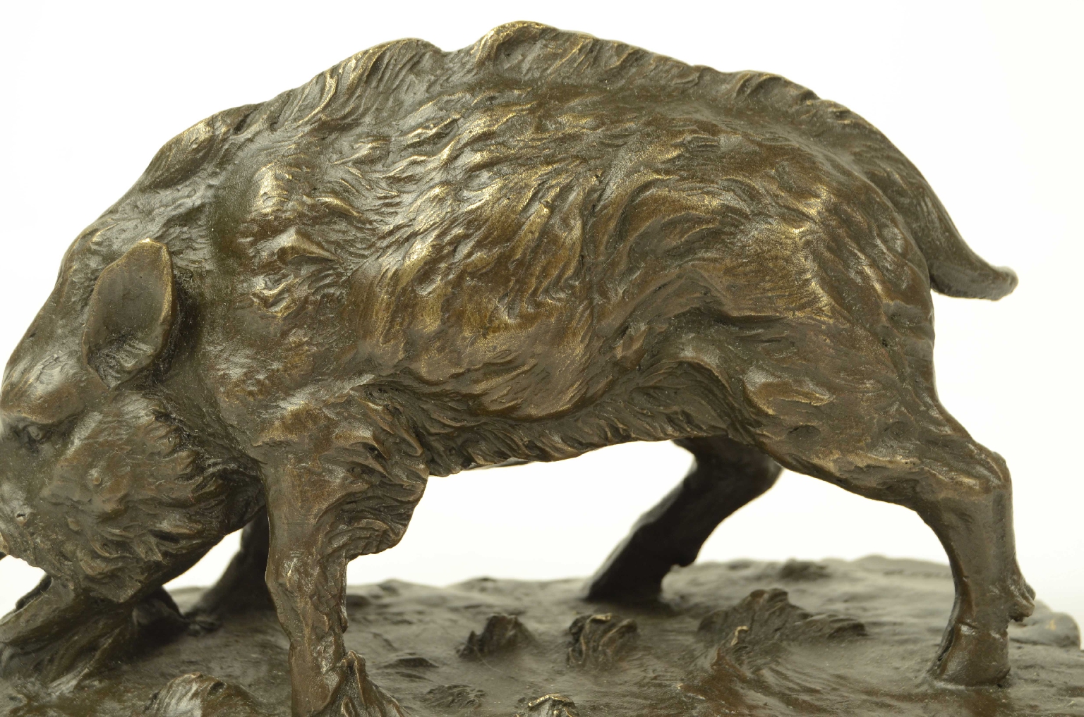 Curiosit&agrave;/11asc-Cinghiale Bronzo