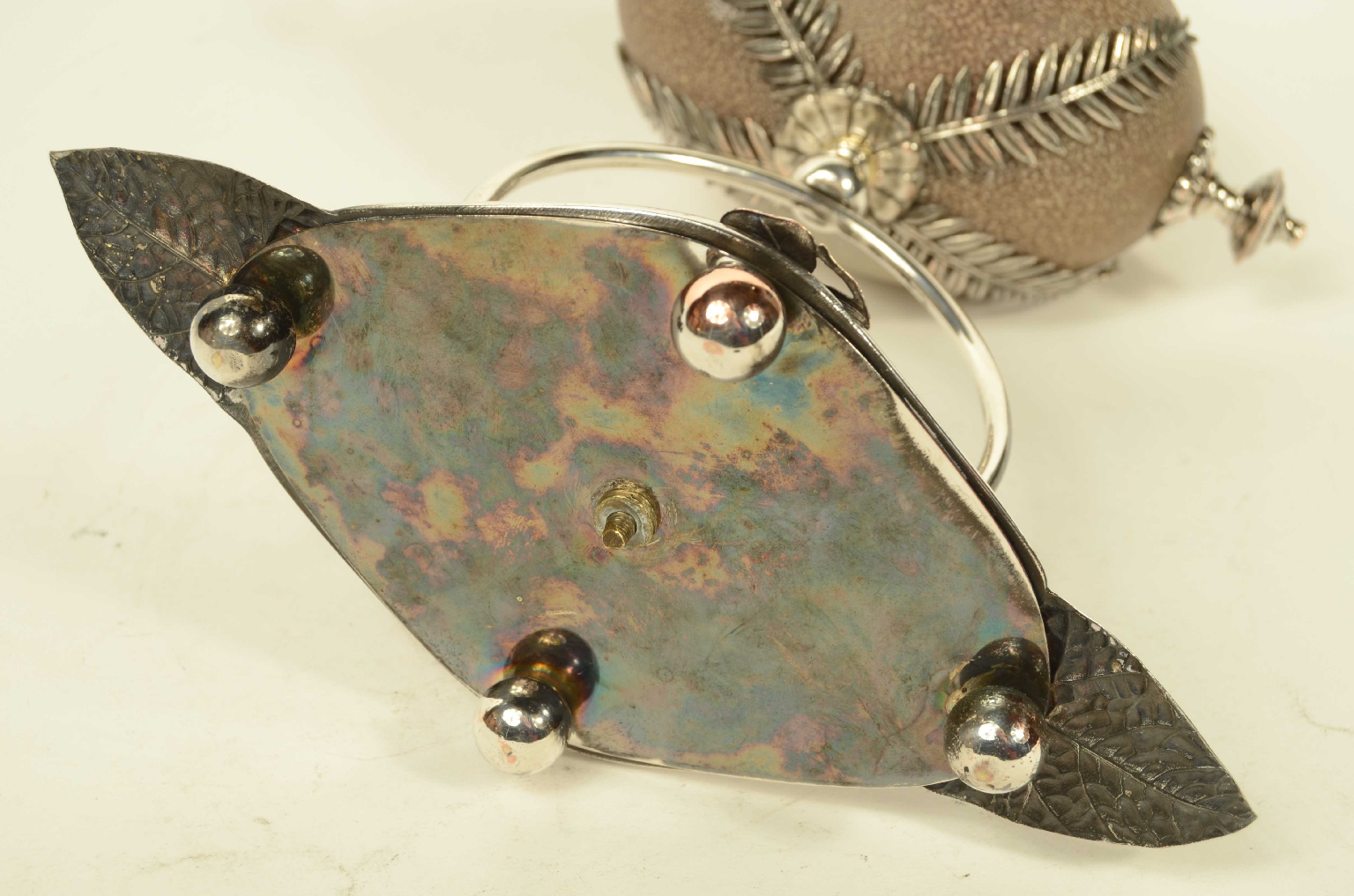 Natural history/2Centrotavola- Centerpiece