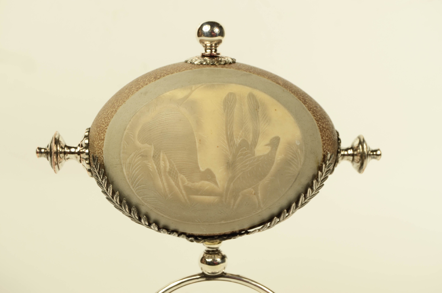 Natural history/2Centrotavola- Centerpiece