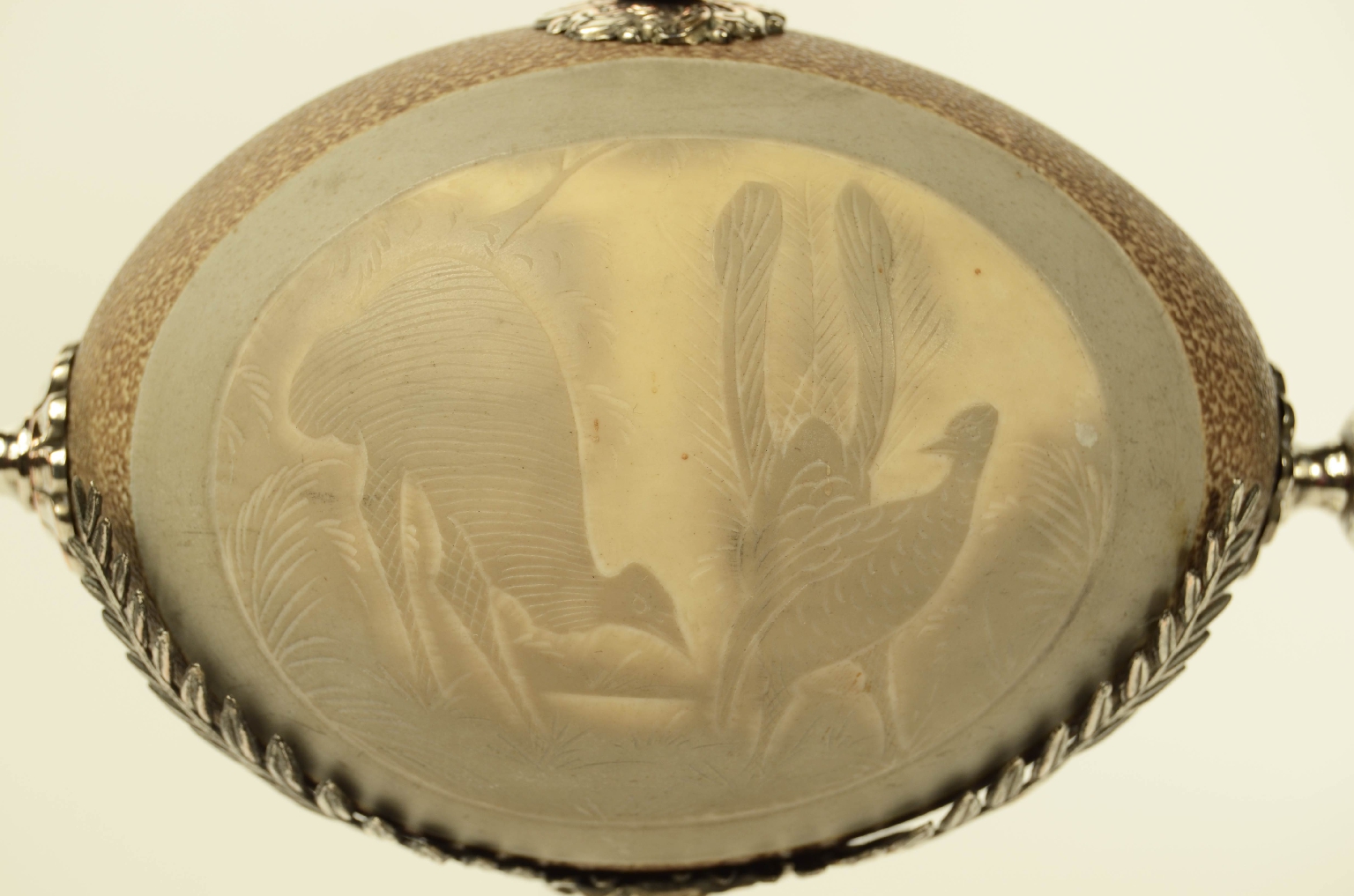 Natural history/2Centrotavola- Centerpiece