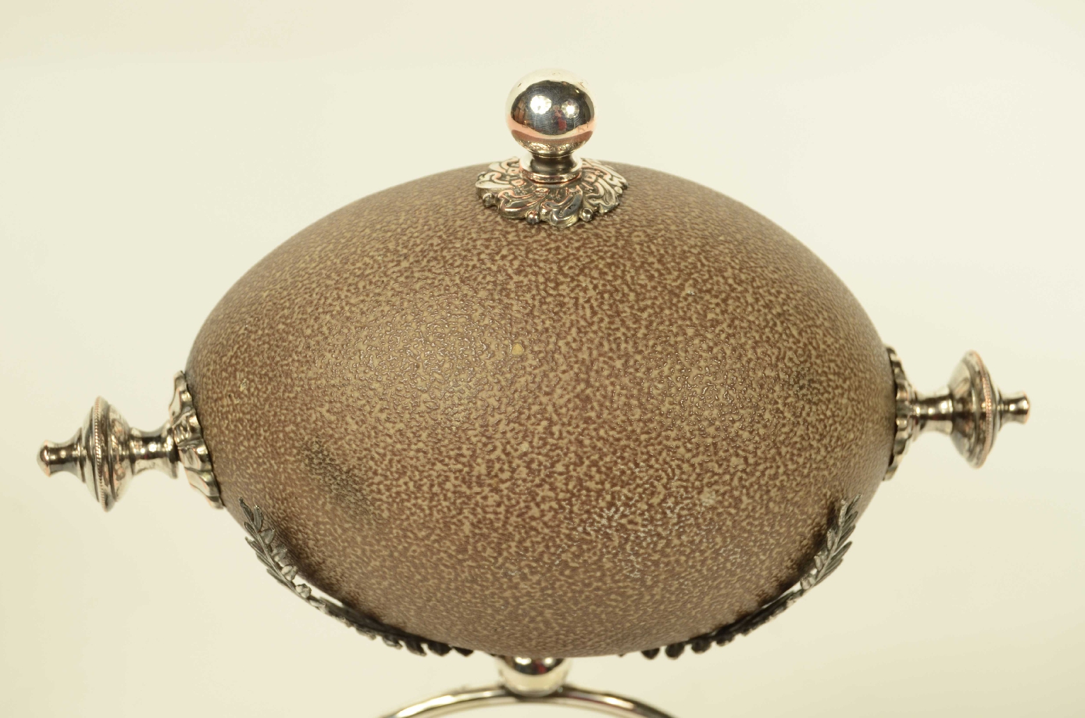 Natural history/2Centrotavola- Centerpiece