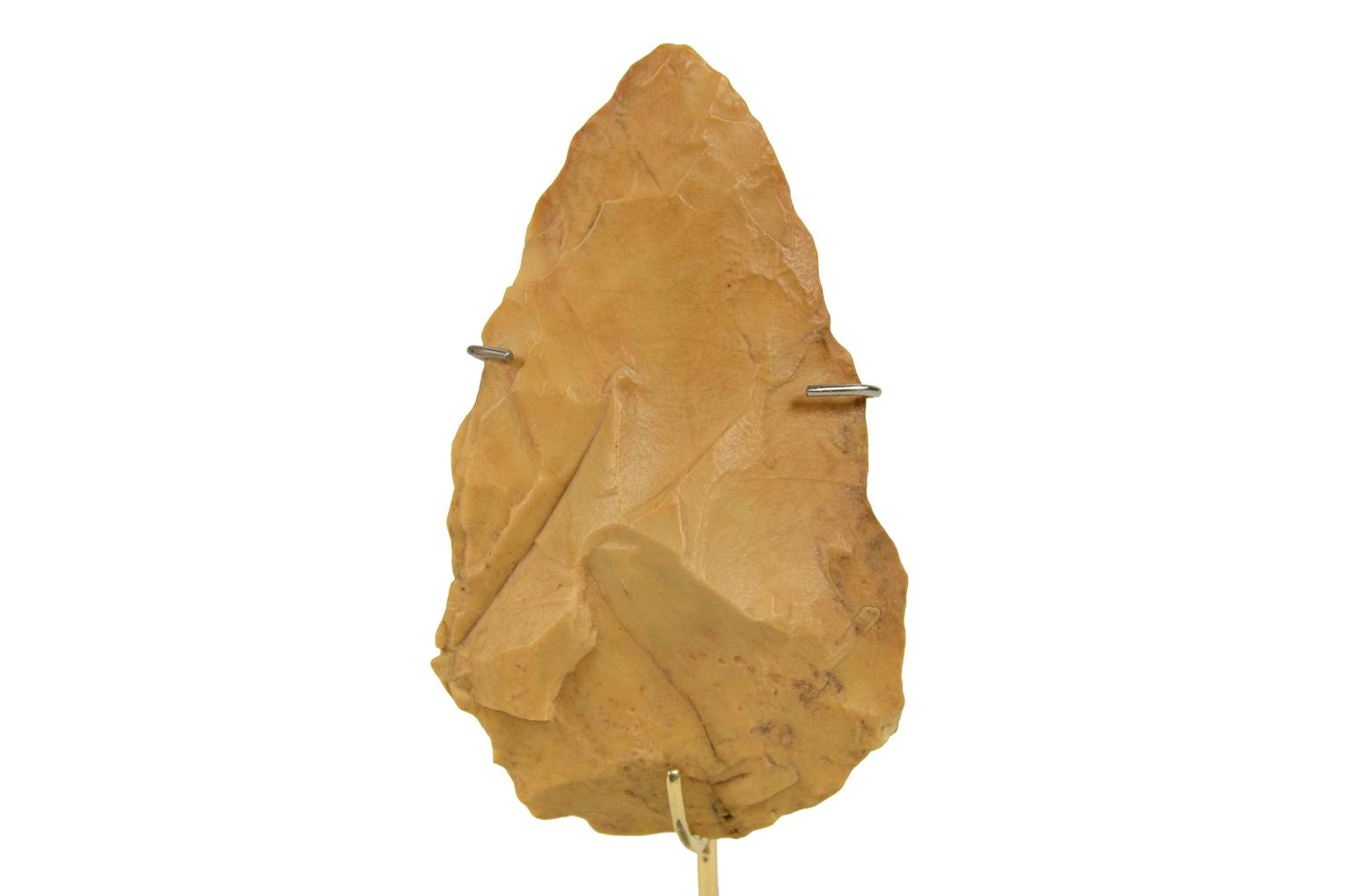 Storia naturale/3961-Amigdala antica