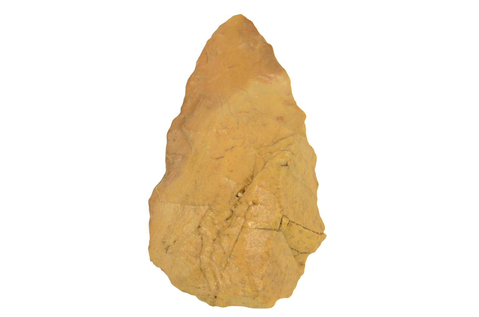 Storia naturale/3961-Amigdala antica