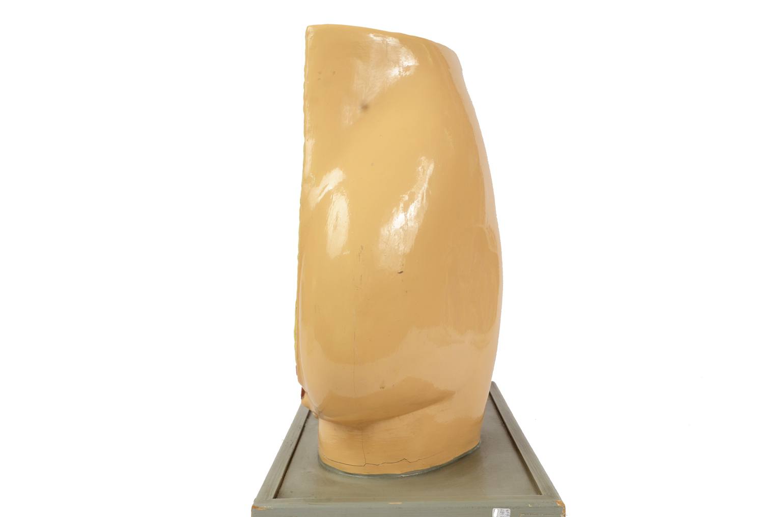 Old medical instruments/4076-Woman womb