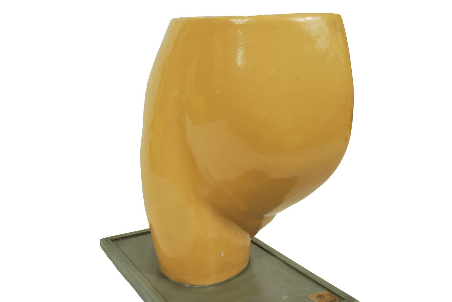 Strumenti medici d'epoca/4076-Ventre di donna