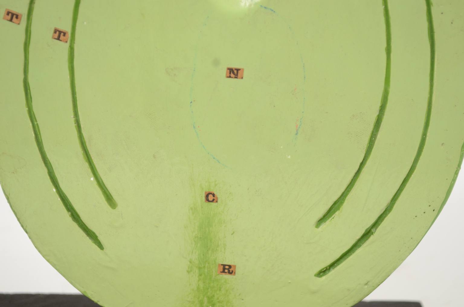 Natural history/542A-Botanical model