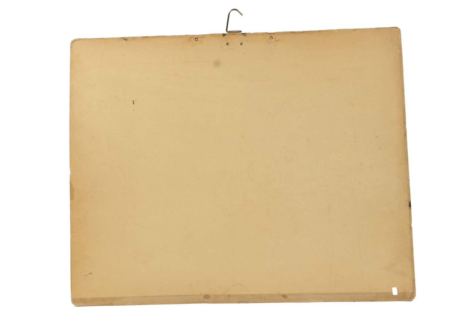 Natural history/577A11-Zoological plate