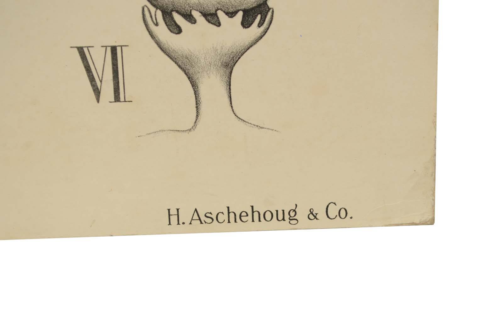 Natural history/577A12-Zoological plate