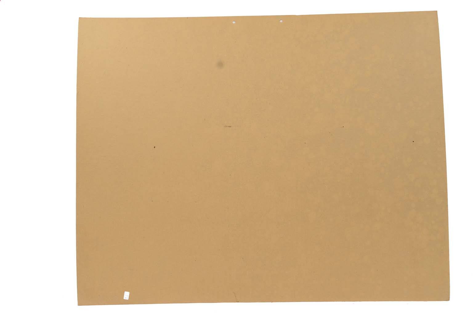 Natural history/577A5-Zoological plate