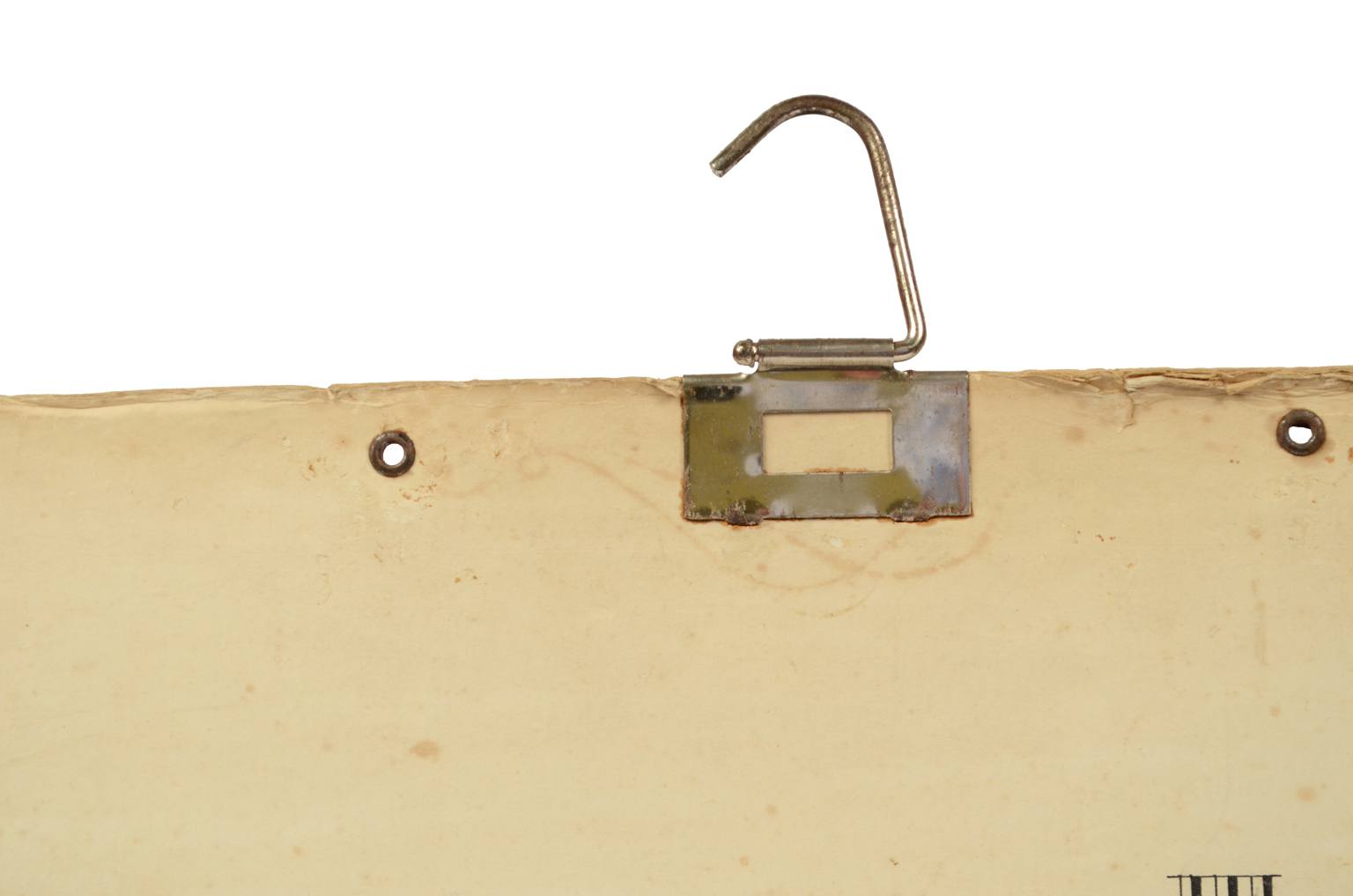 Storia naturale/577A7-Tavola zoologica