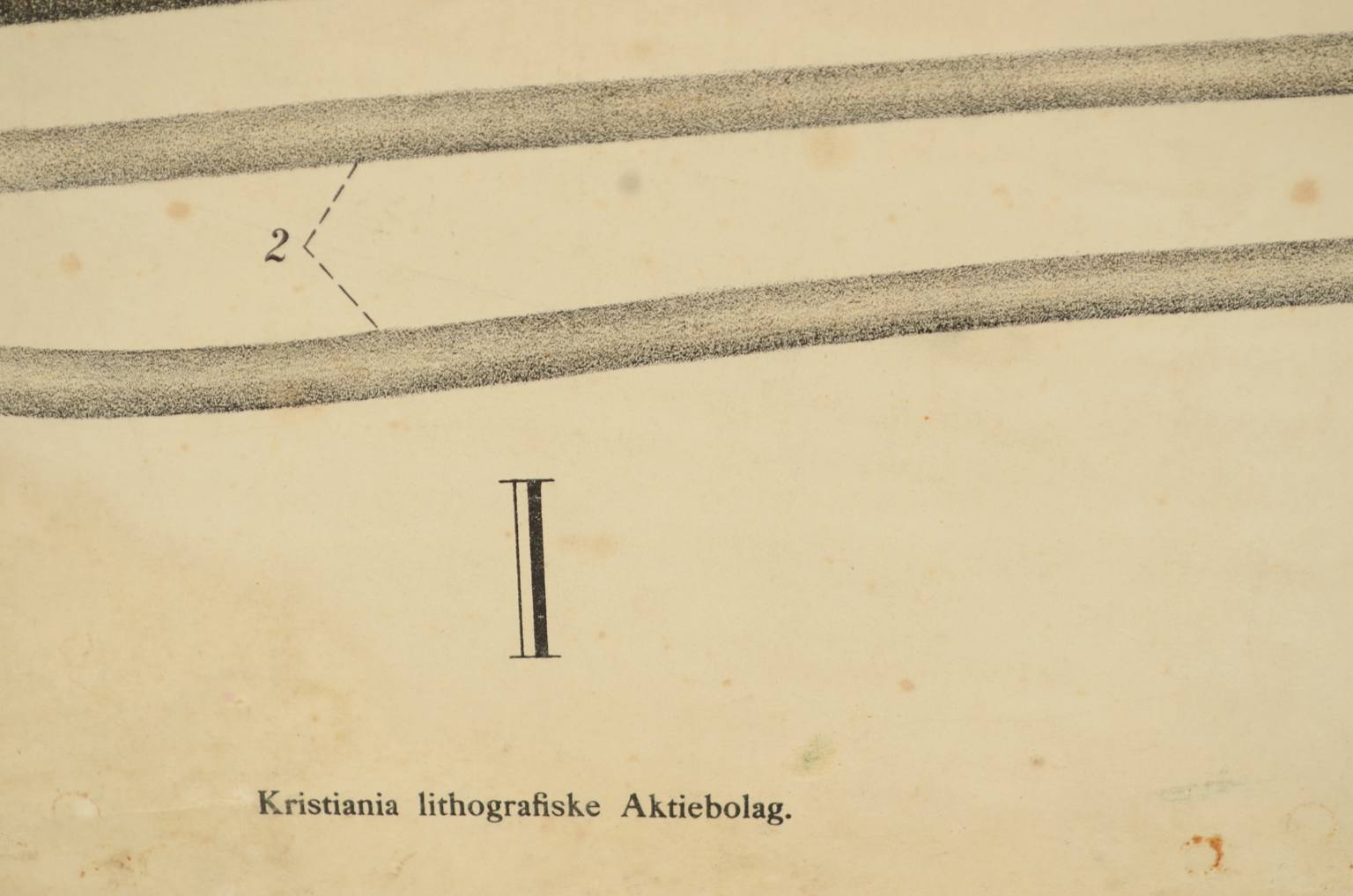 Storia naturale/577A7-Tavola zoologica