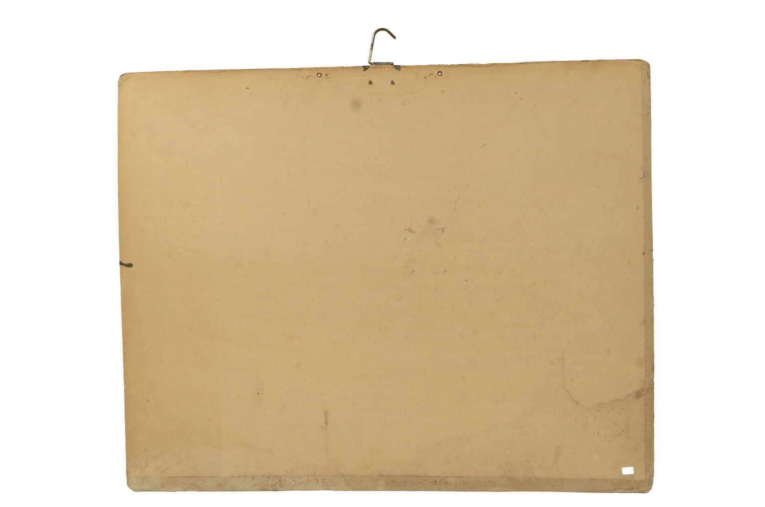 Natural history/577A7-Zoological plate