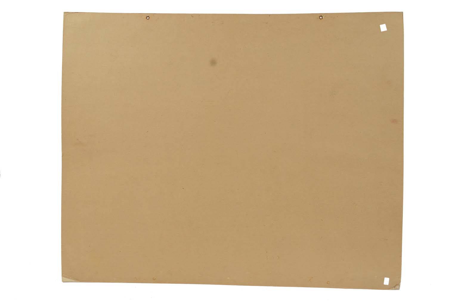 Natural history/577A9-Zoological plate