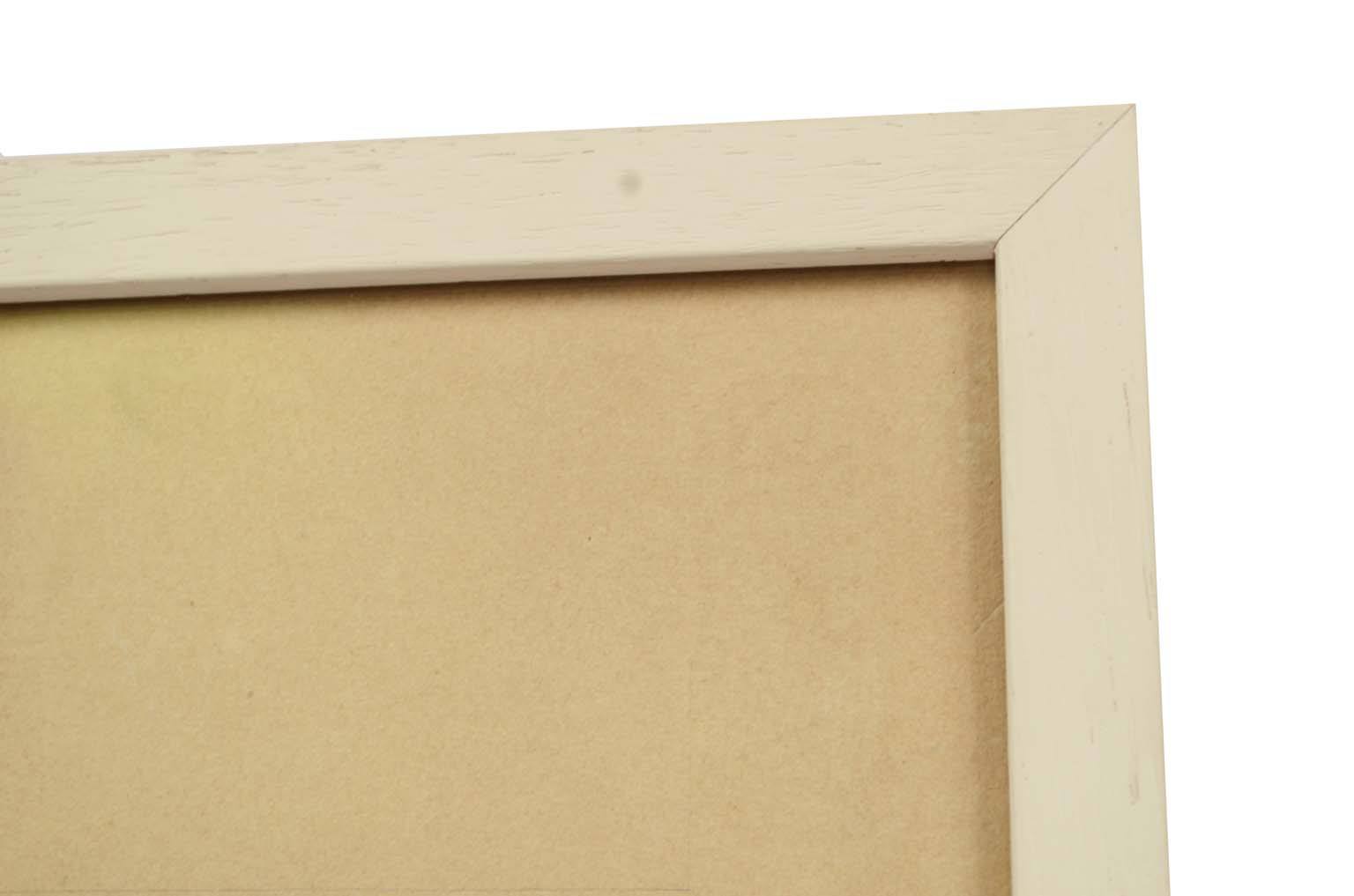 Natural history/578A-Zoological plate