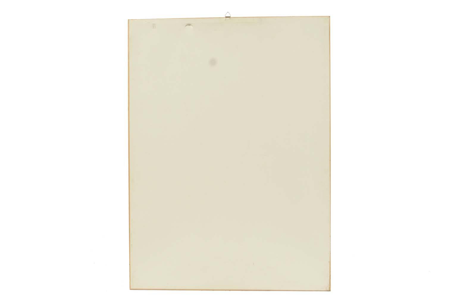 Natural history/578A-Zoological plate