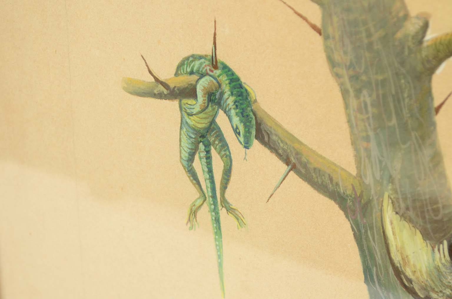 Natural history/578A-Zoological plate