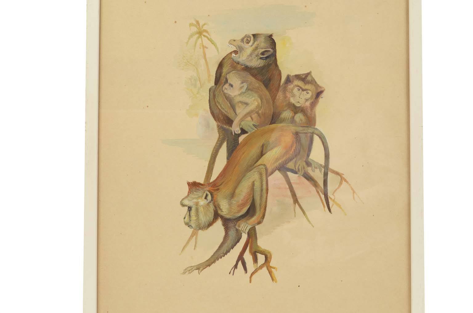 Storia naturale/578A1-Tavola zoologica