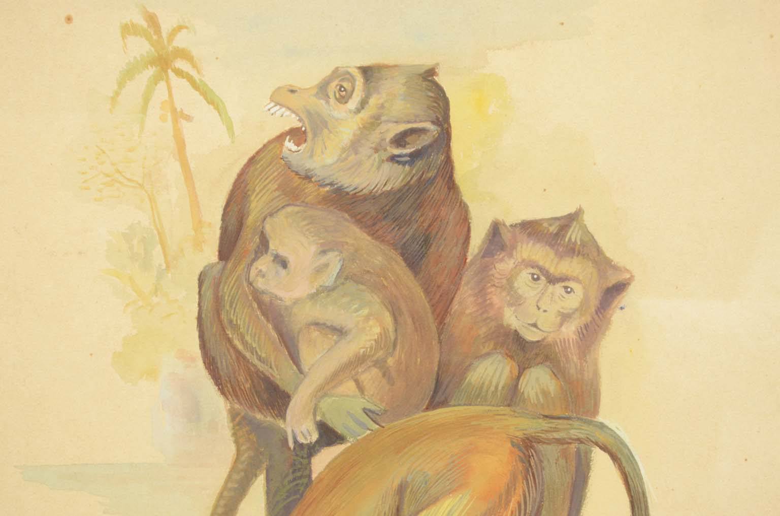 Natural history/578A1-Zoological plate