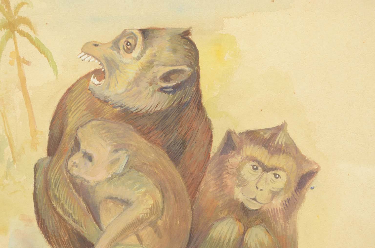 Natural history/578A1-Zoological plate