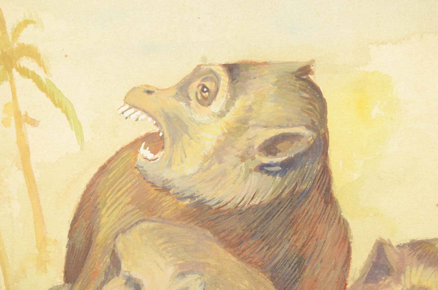 Storia naturale/578A1-Tavola zoologica