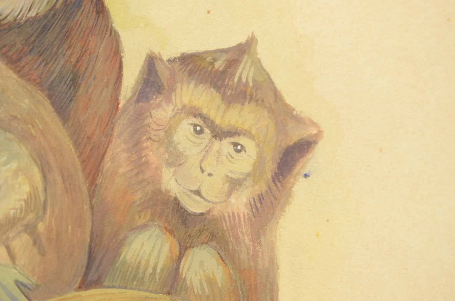 Natural history/578A1-Zoological plate