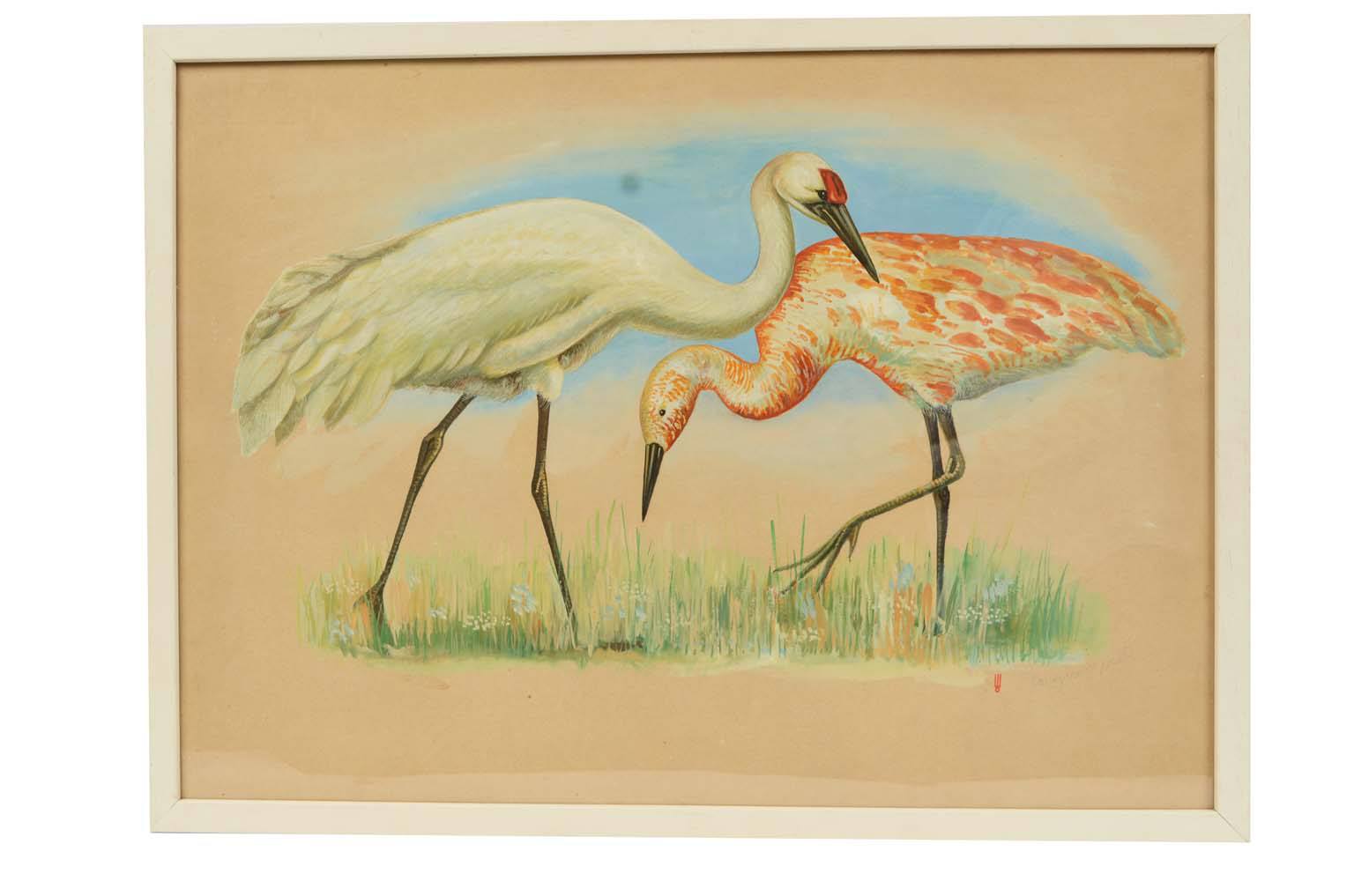 Natural history/578A3-Zoological plate