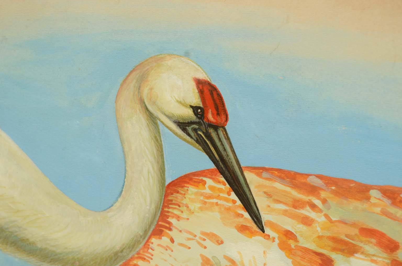 Storia naturale/578A3-Tavola zoologica