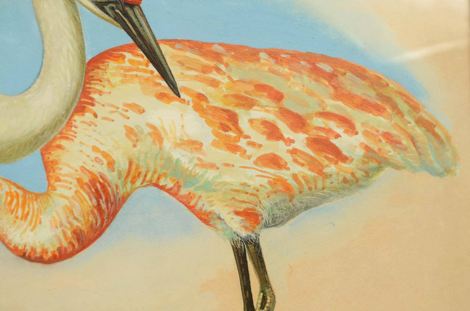 Storia naturale/578A3-Tavola zoologica