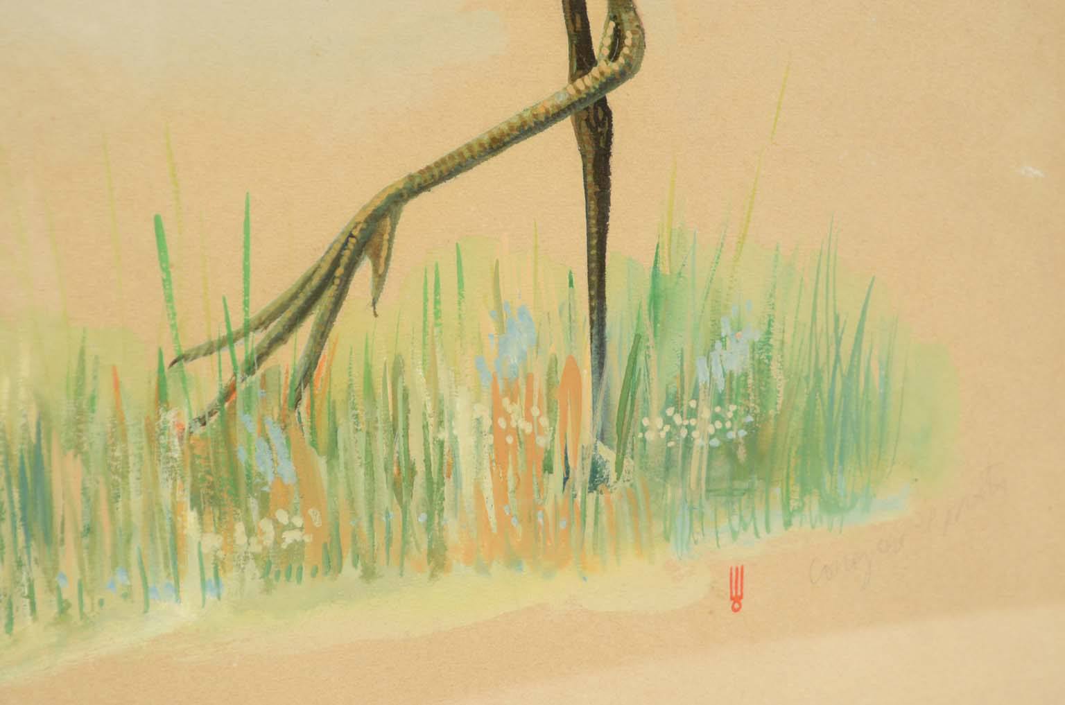 Natural history/578A3-Zoological plate