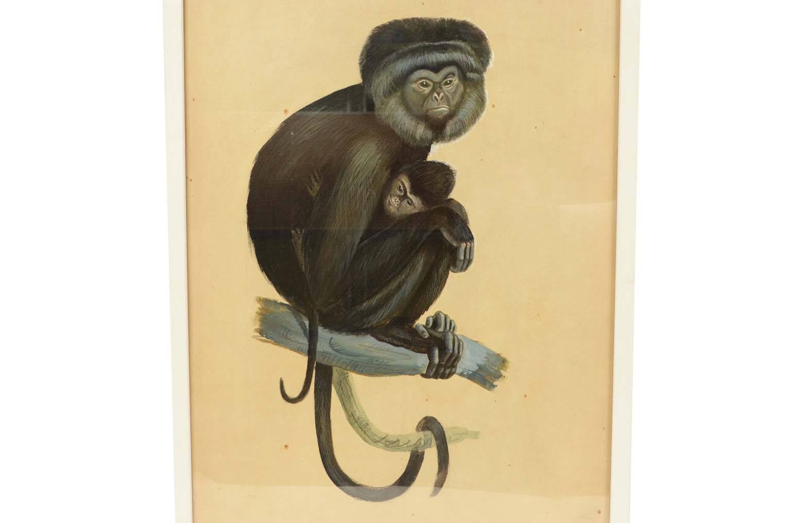 Storia naturale/578A5-Tavola zoologica