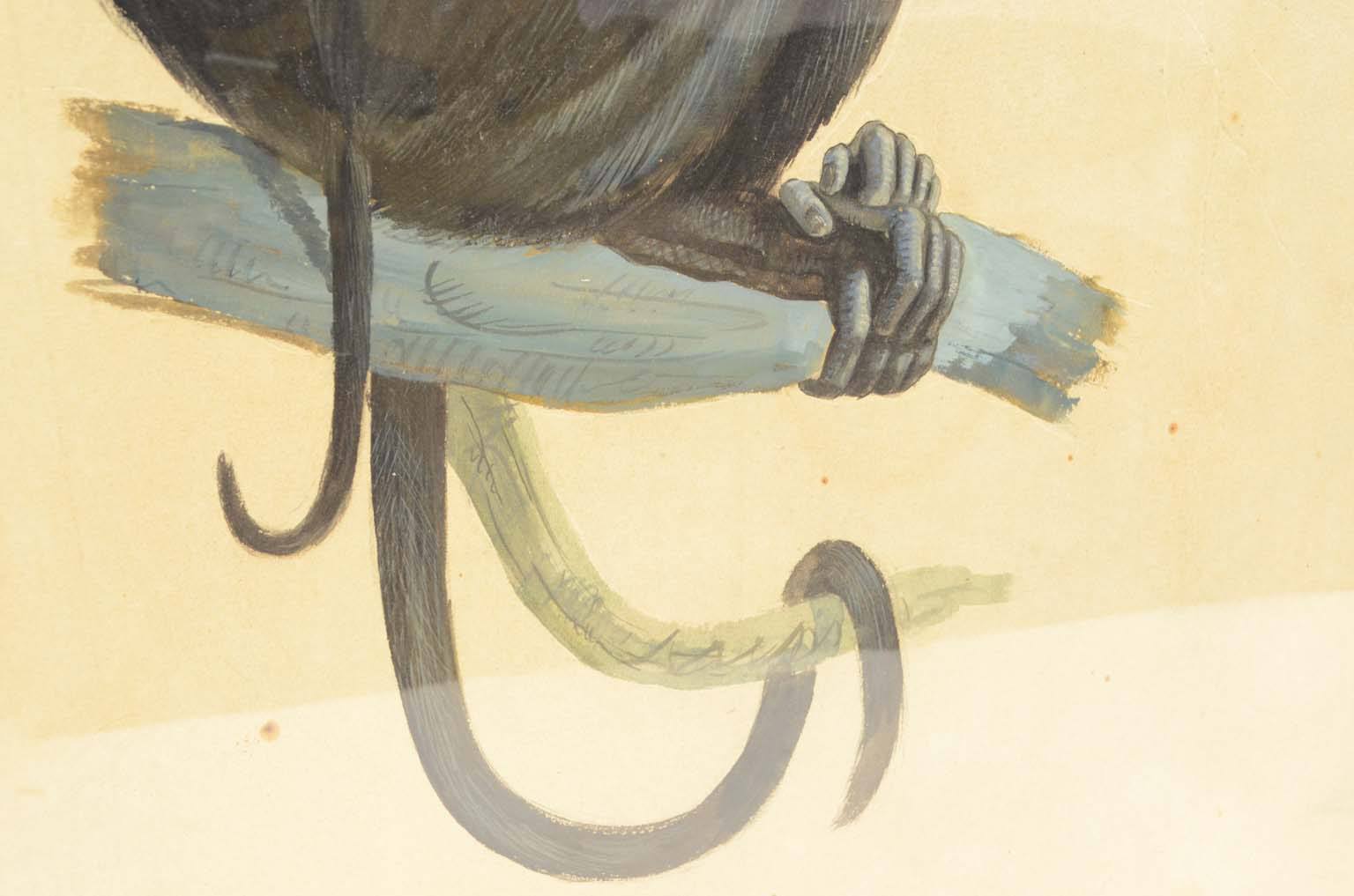 Natural history/578A5-Zoological plate