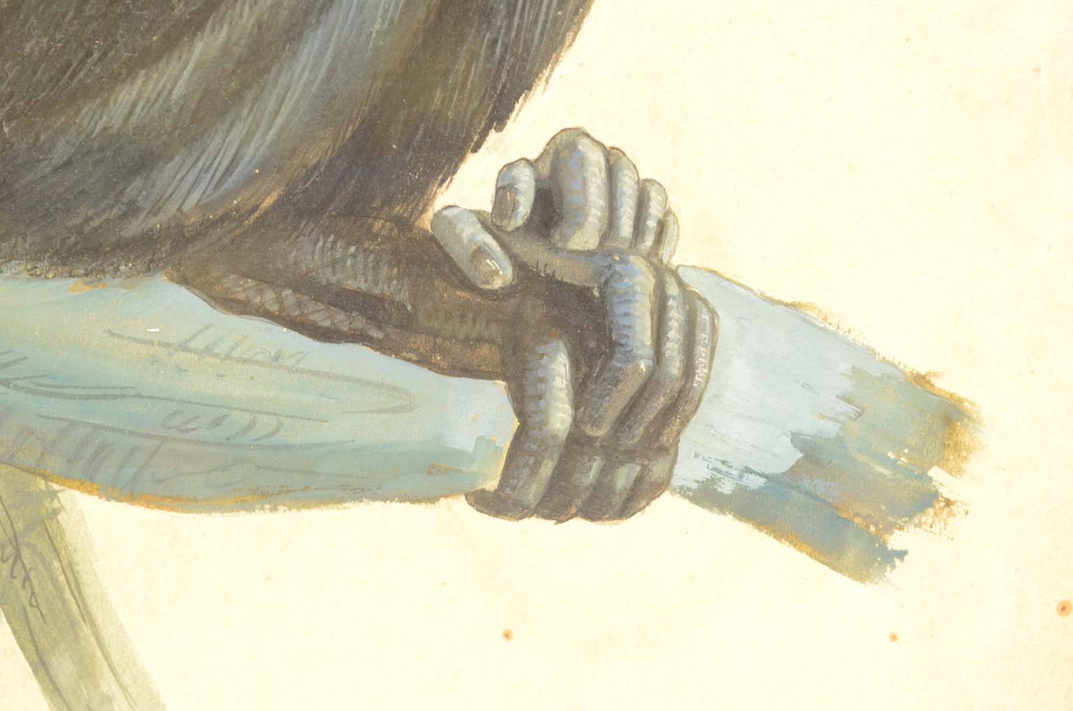 Natural history/578A5-Zoological plate