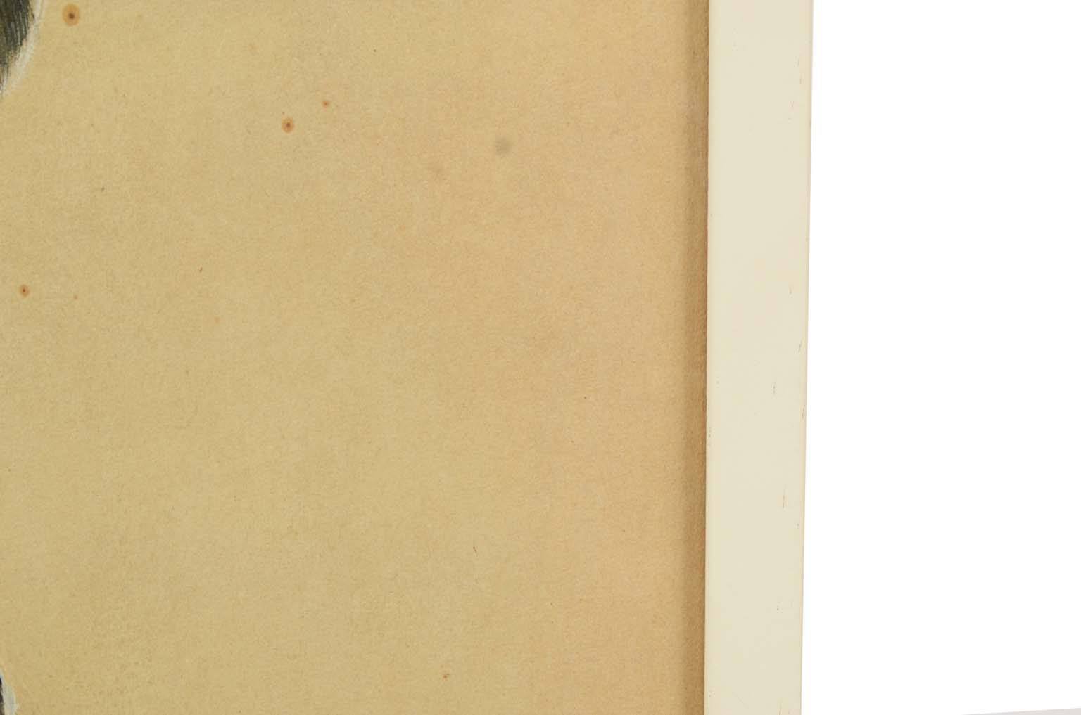 Storia naturale/578A5-Tavola zoologica