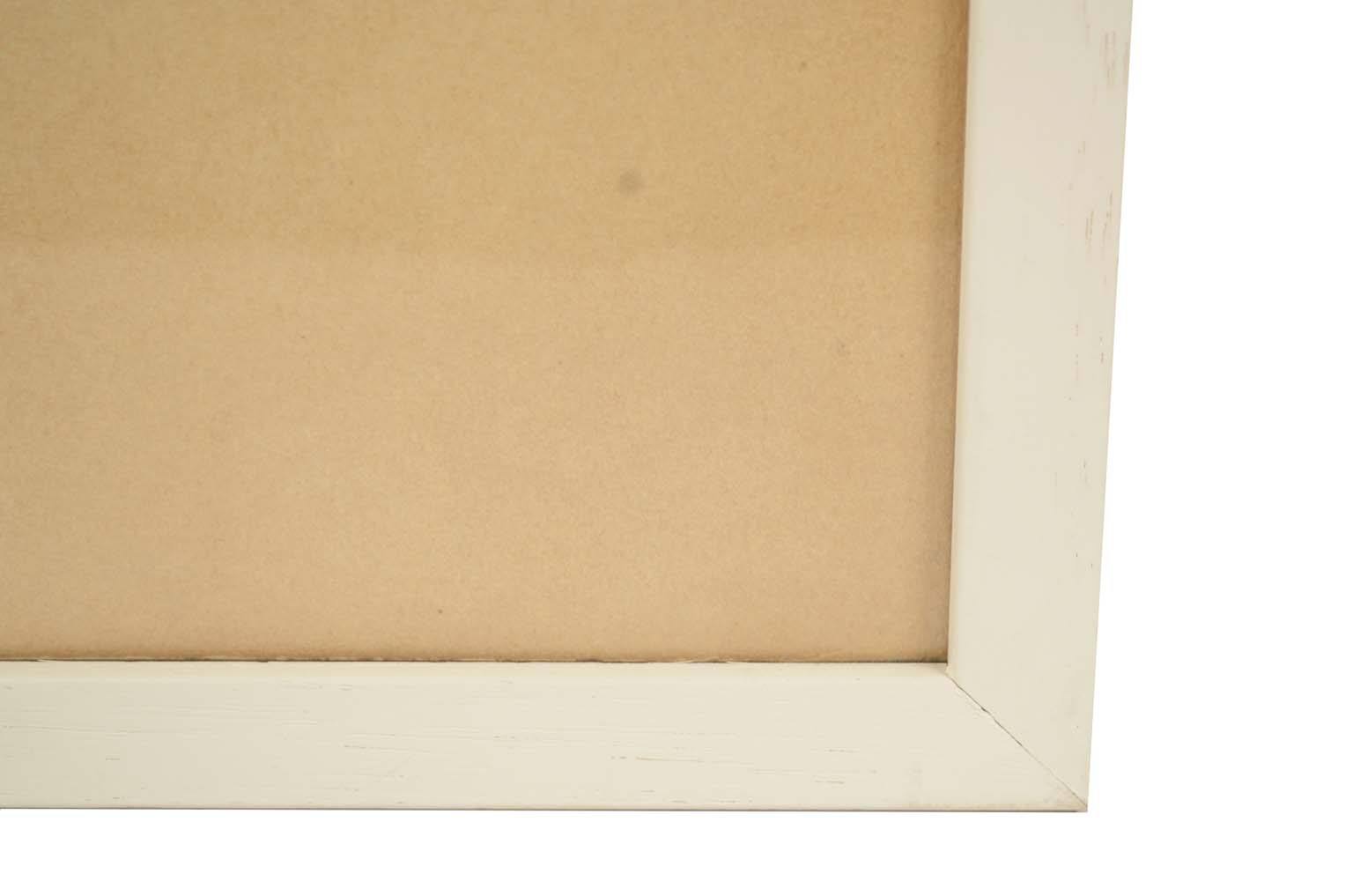 Natural history/578A6-Zoological plate