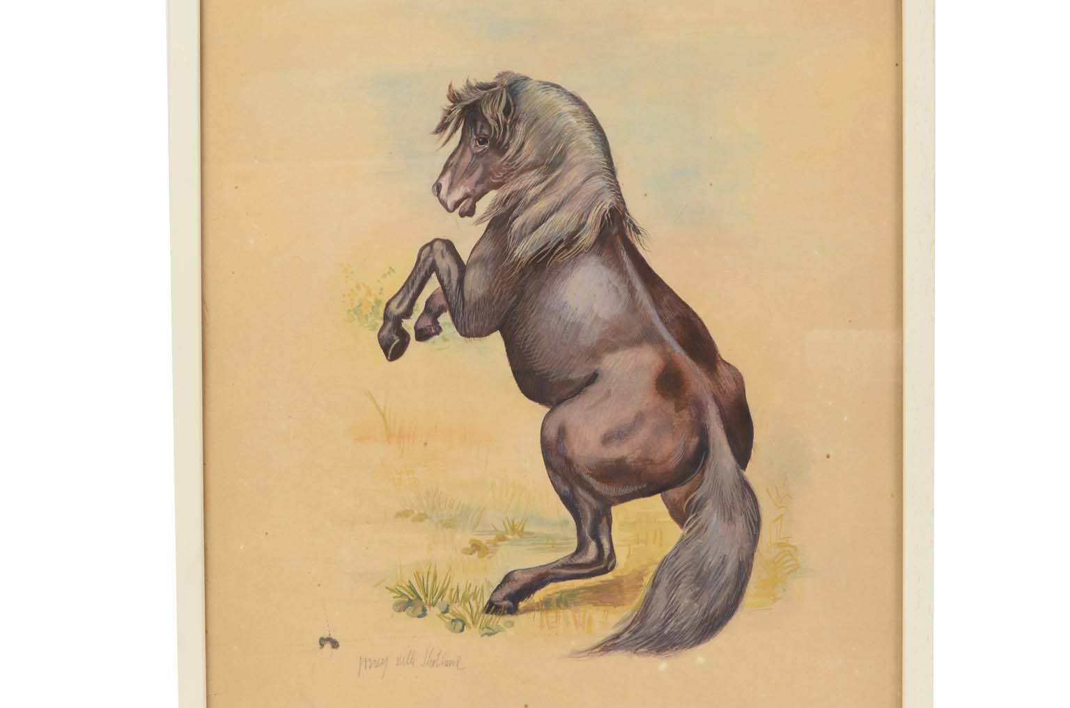 Natural history/578A7-Zoological plate