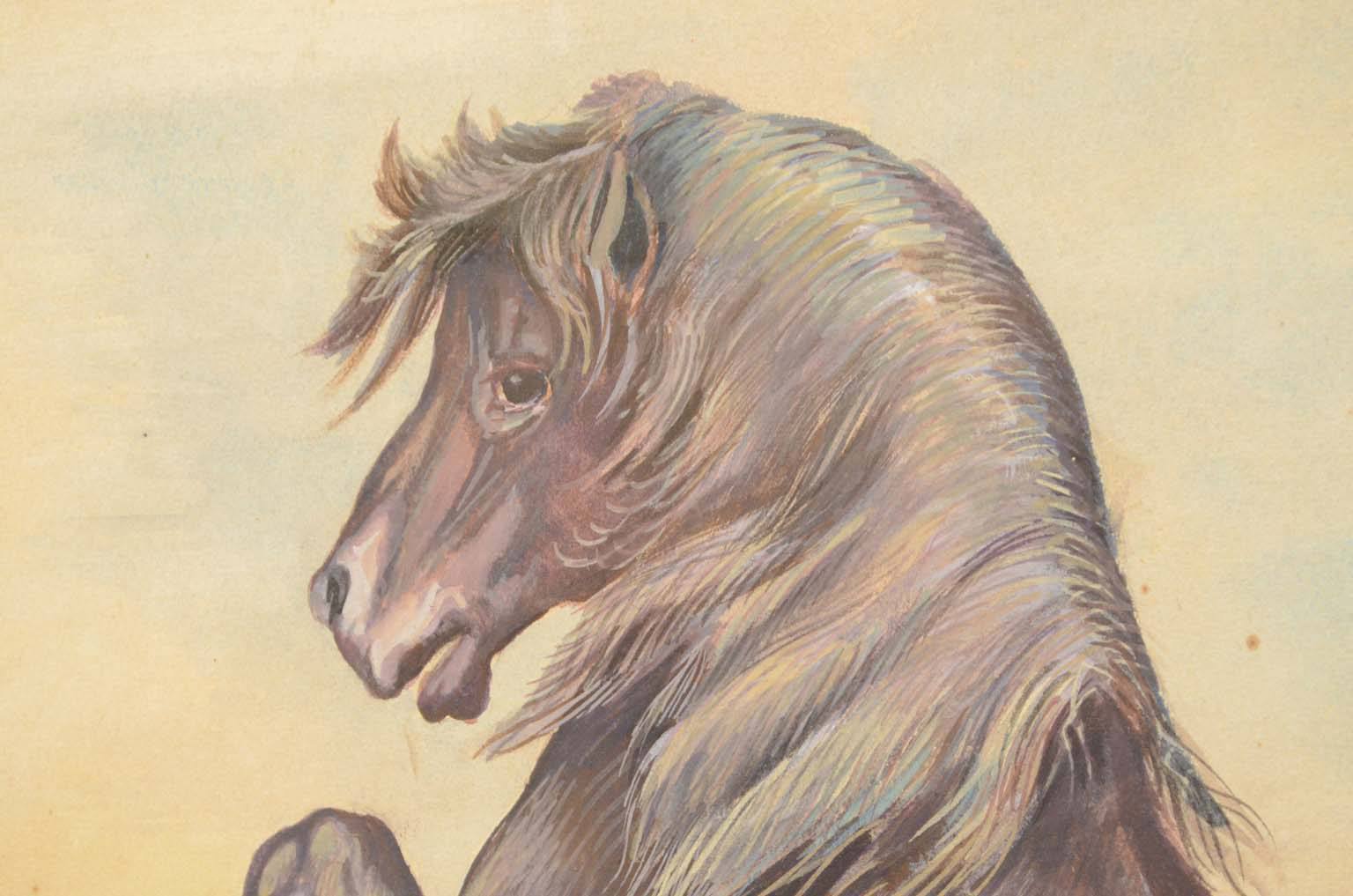 Storia naturale/578A7-Tavola zoologica