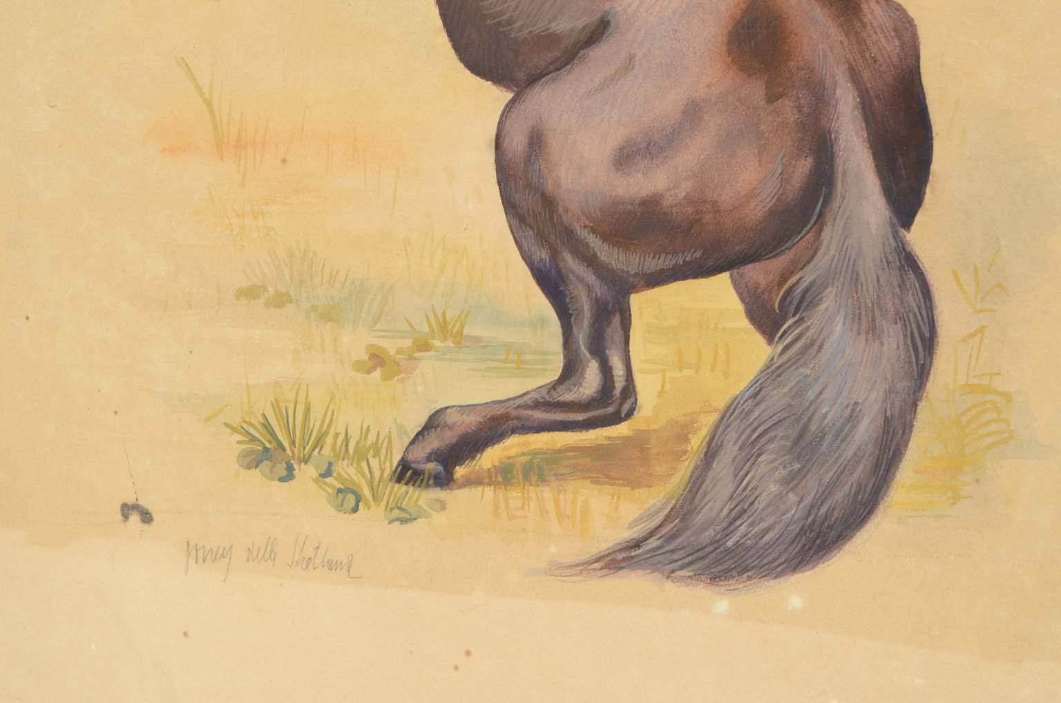 Natural history/578A7-Zoological plate