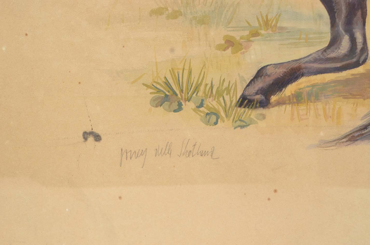 Natural history/578A7-Zoological plate