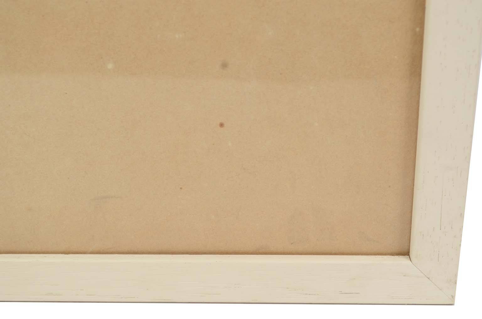 Natural history/578A7-Zoological plate