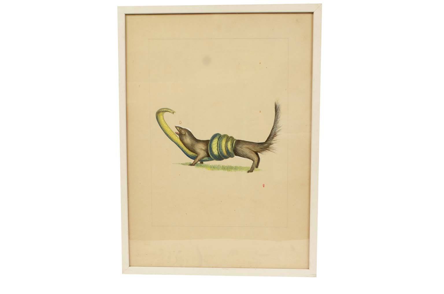 Storia naturale/578A8-Tavola zoologica