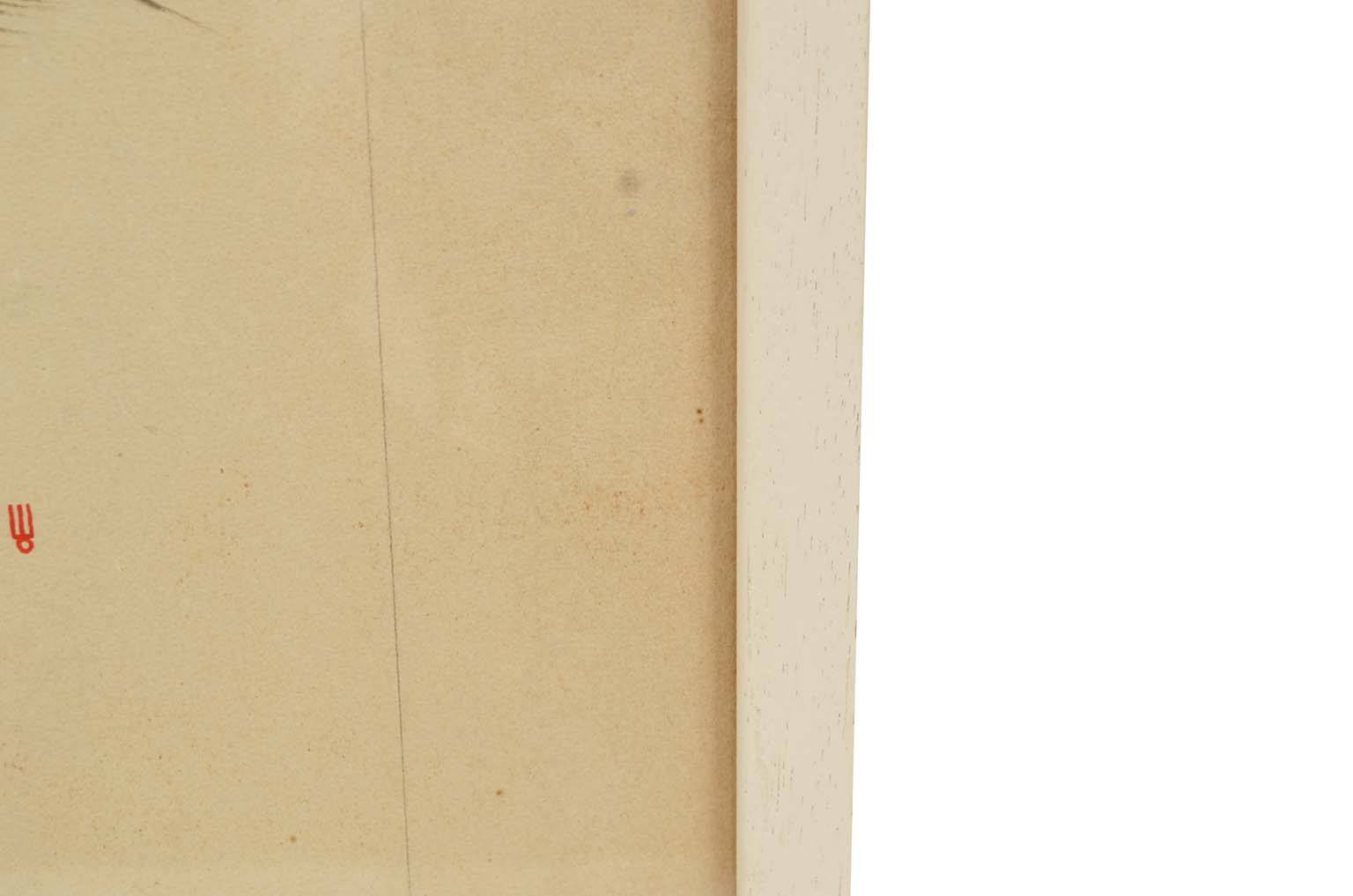 Storia naturale/578A8-Tavola zoologica