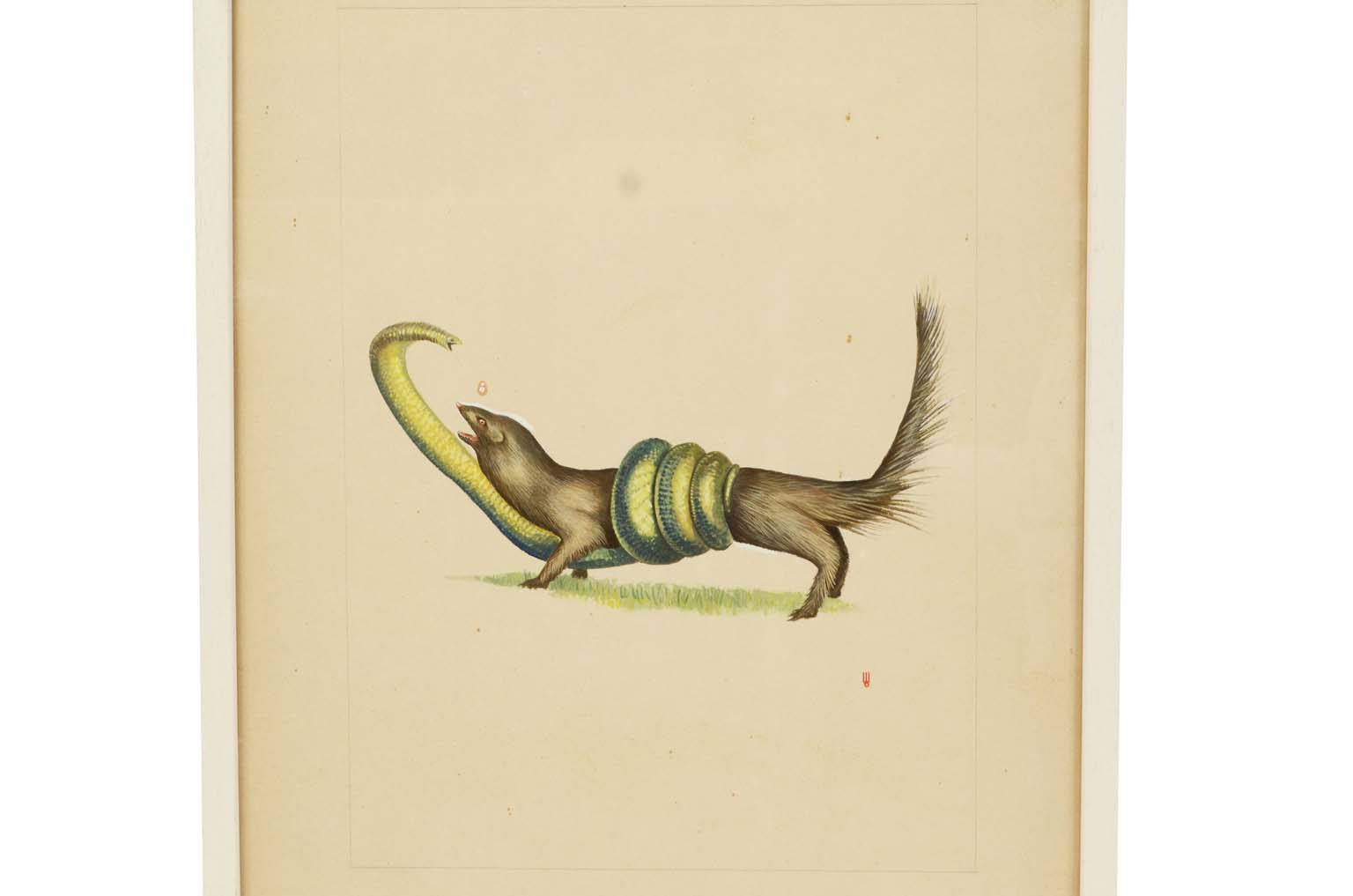 Storia naturale/578A8-Tavola zoologica