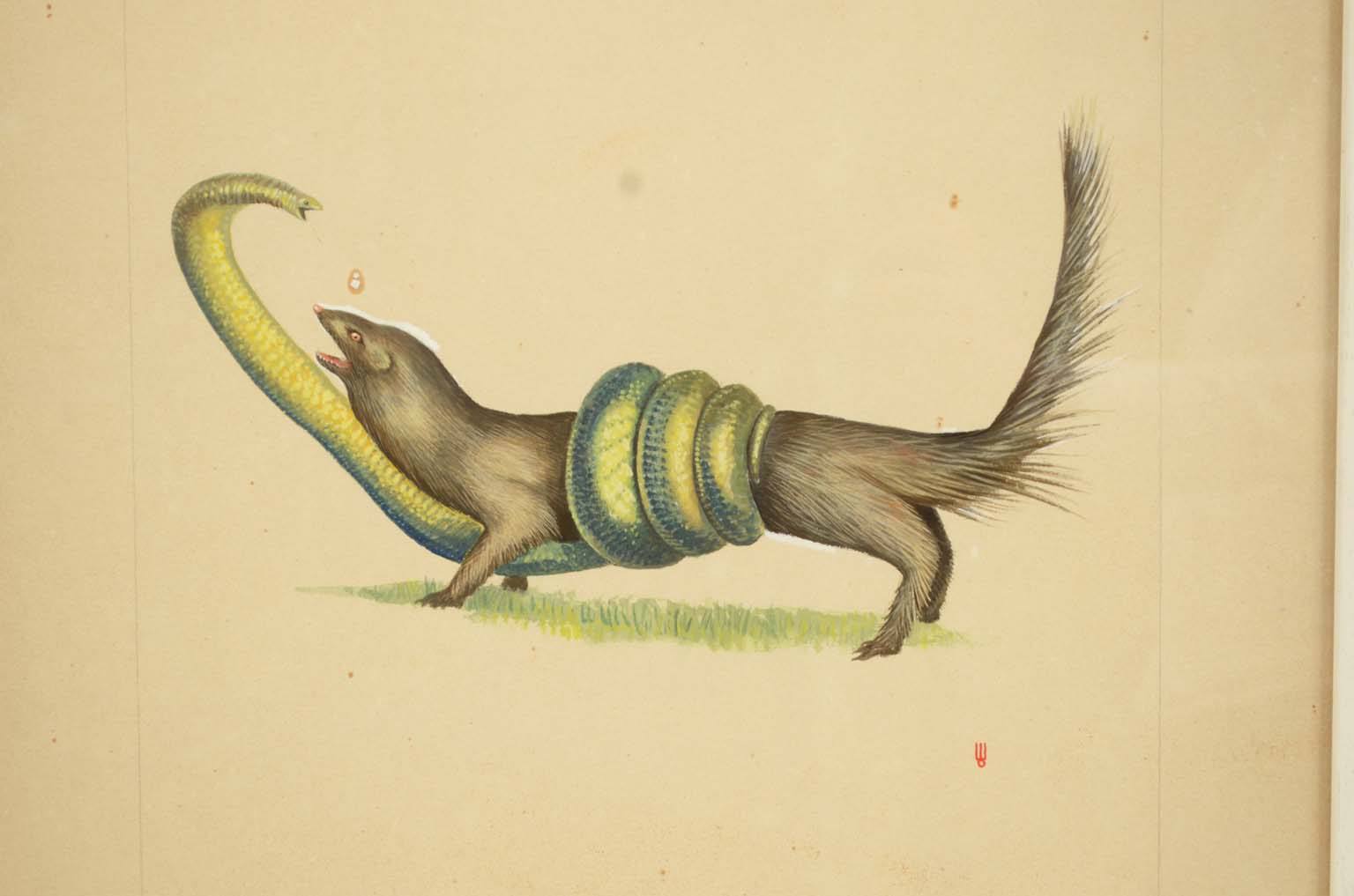 Natural history/578A8-Zoological plate