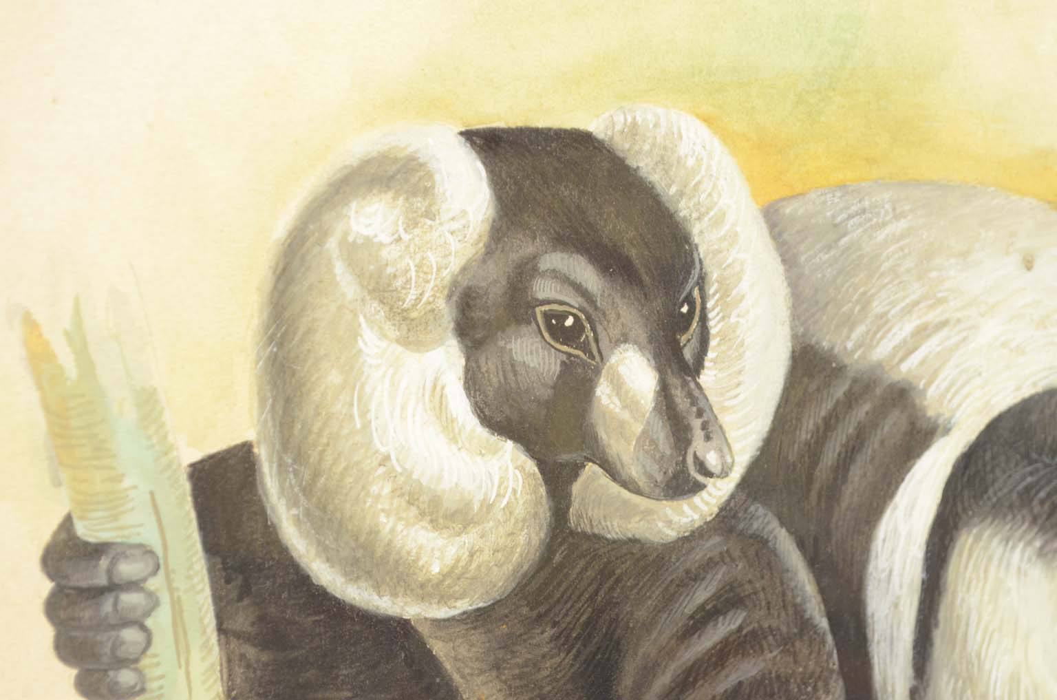 Storia naturale/578A9-Tavola zoologica