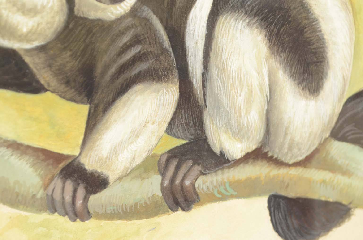 Storia naturale/578A9-Tavola zoologica