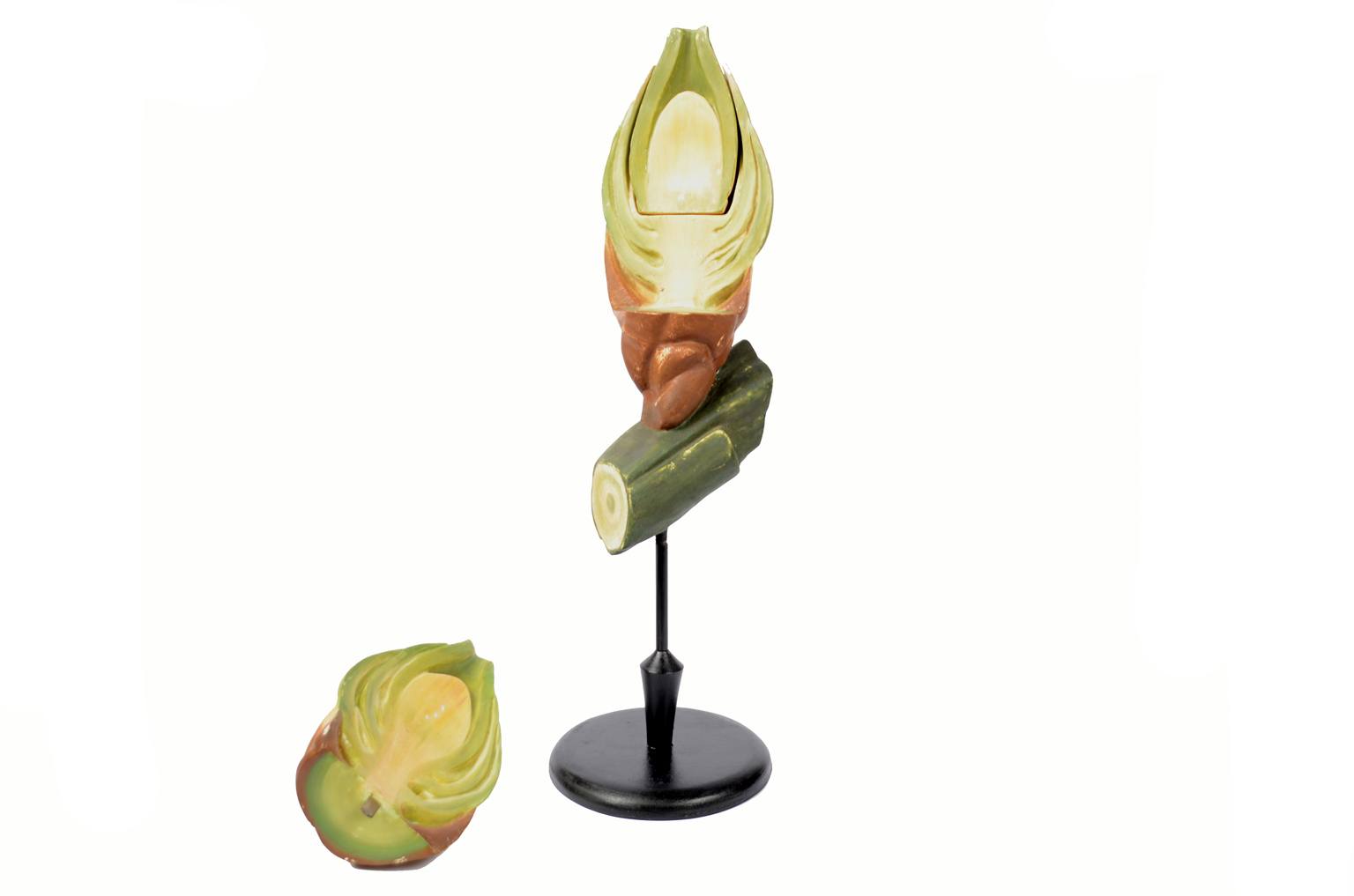 Natural history/6027-Yew seed