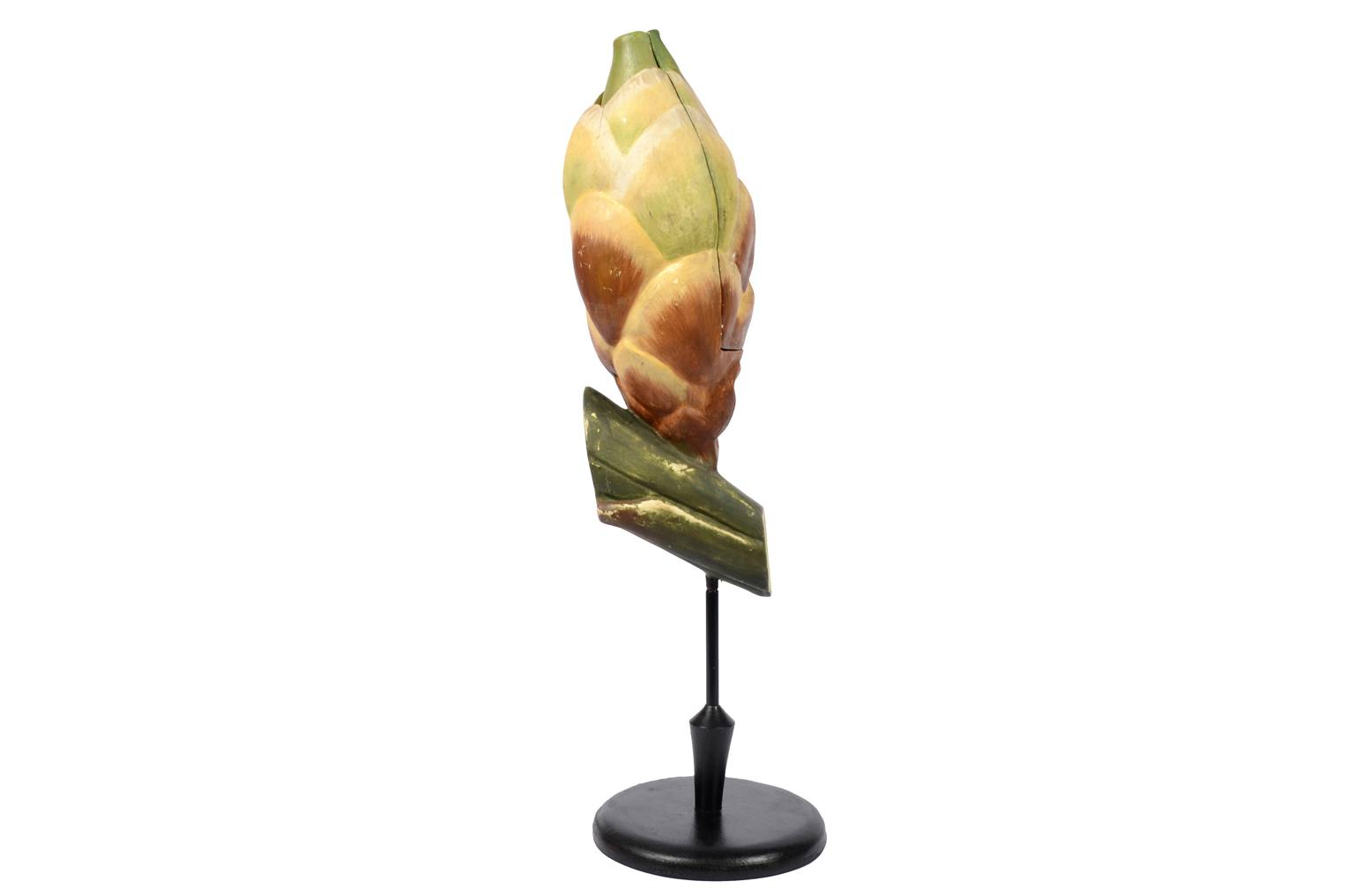 Natural history/6027-Yew seed