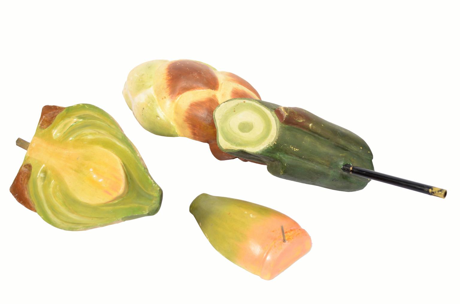 Natural history/6027-Yew seed