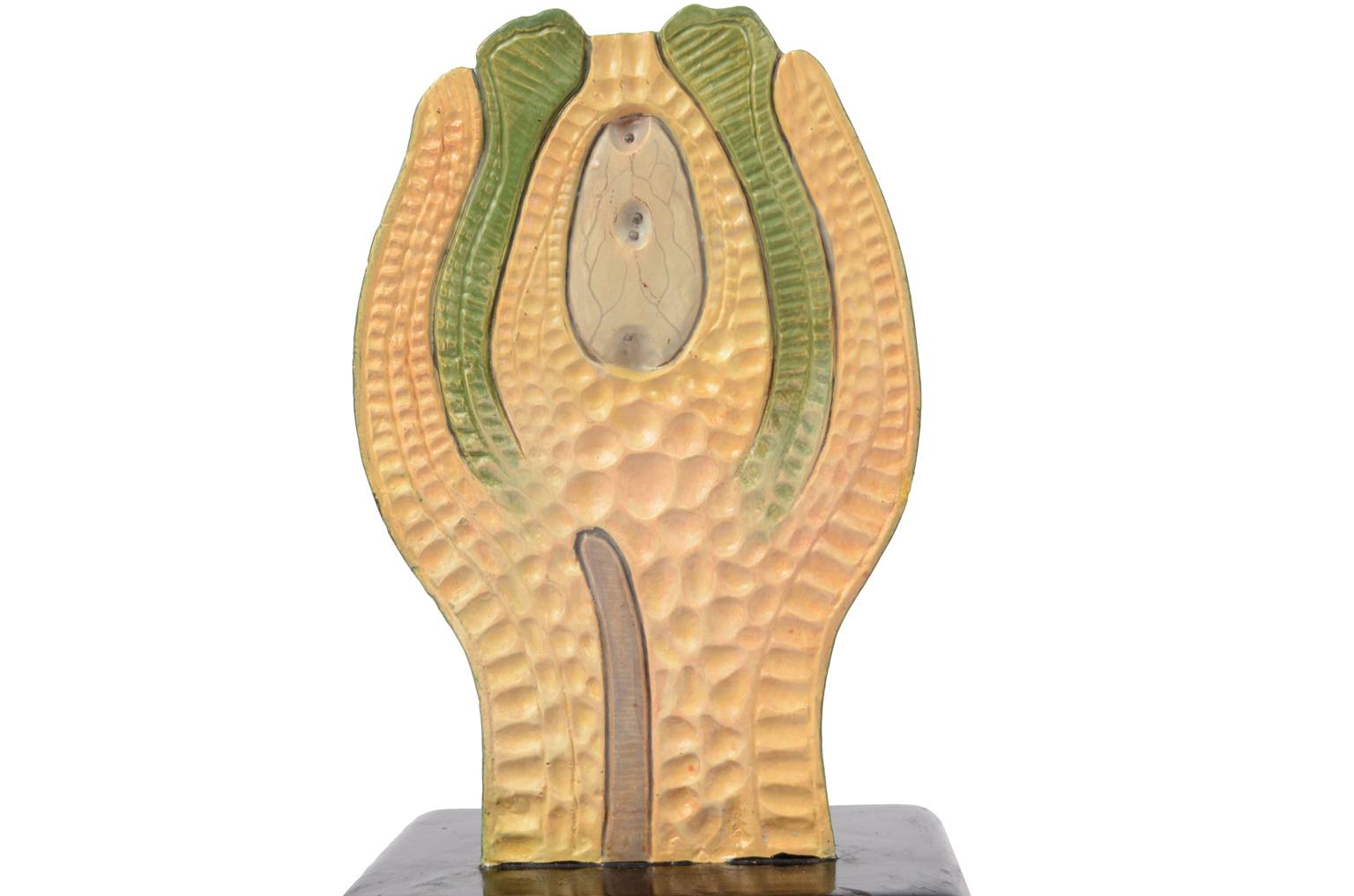 Natural history/61061-Syconium 1930